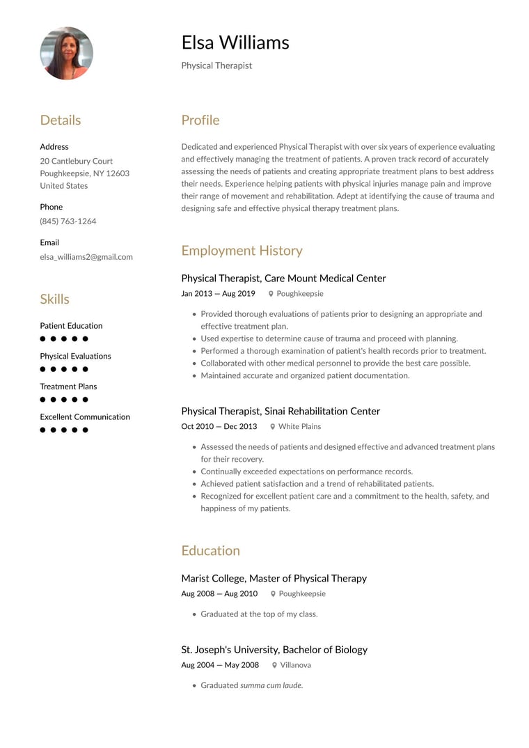 Template Preview 2 resume template preview